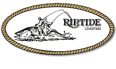 Riptide Whale watching,gift certificaters, Humpback whales, Gray whales, orca whales, Dolphins, Sea Otters, eco tour, nature trips, bird watching, San Francisco, San Mateo